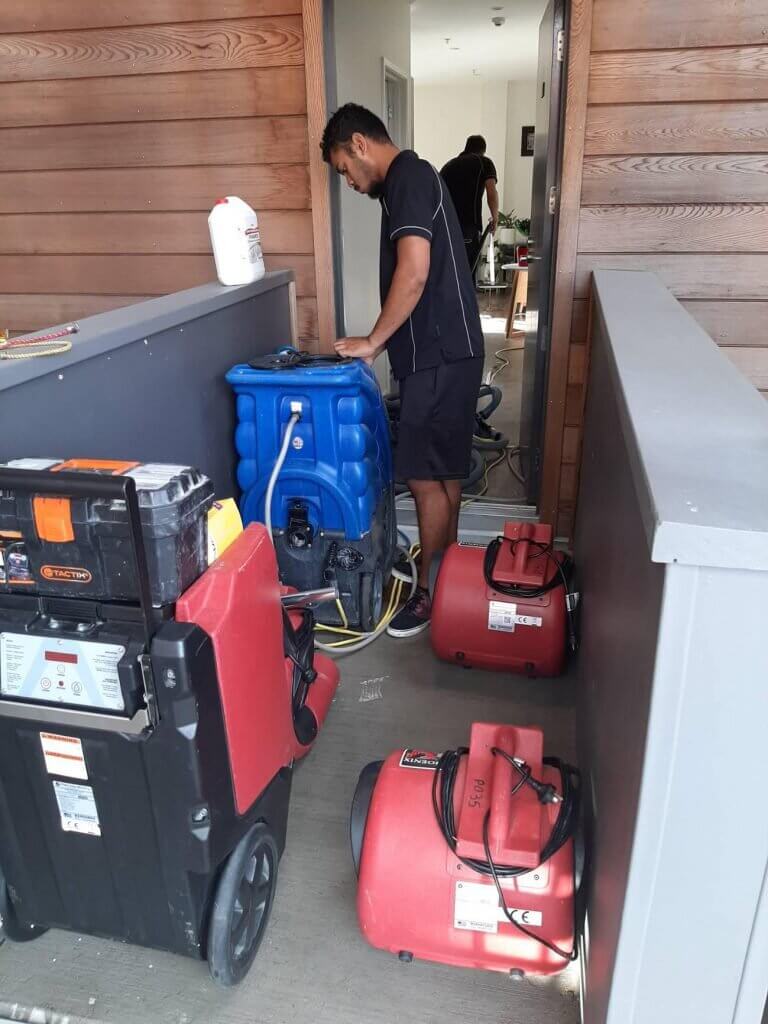 Restoration Service Team Working
