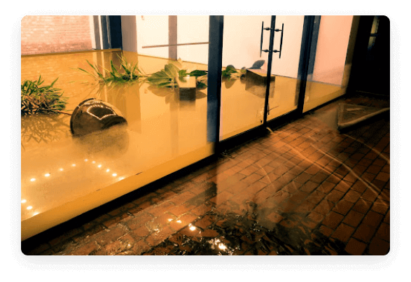 Read more about the article How to Recover Your Home After a Flood
