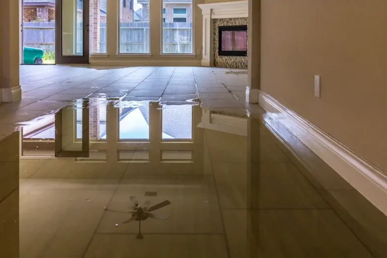 Read more about the article Types of House Flood Damage