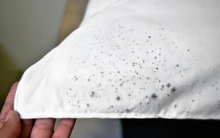 Read more about the article How to Remove Mould from Fabric