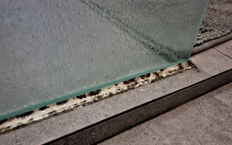 Read more about the article Removing Mould from Your Bathroom