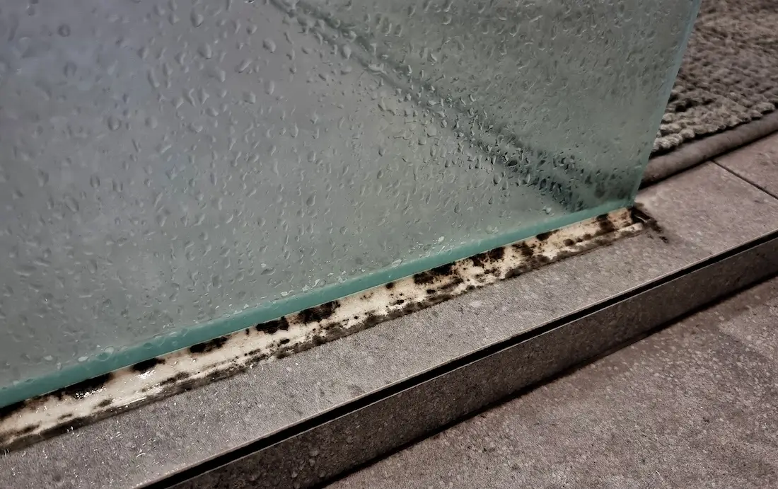 You are currently viewing Removing Mould from Your Bathroom